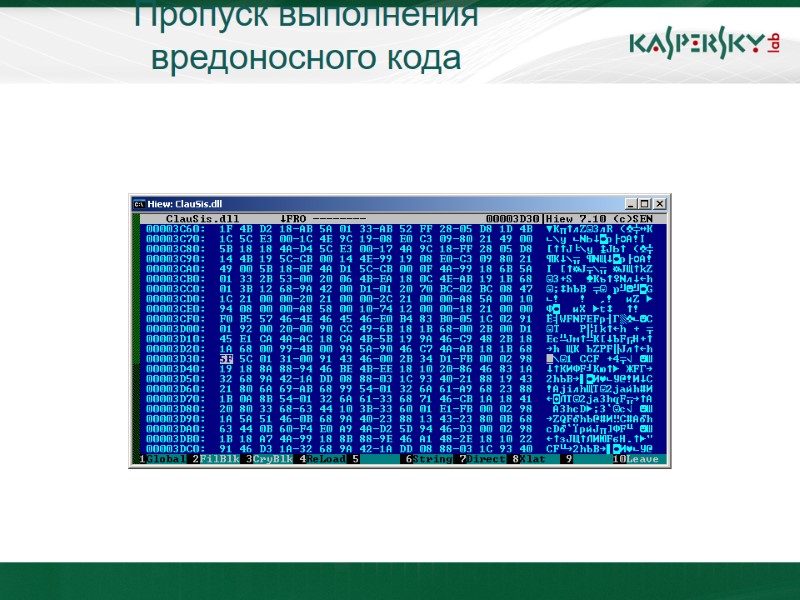Пропуск выполнения вредоносного кода